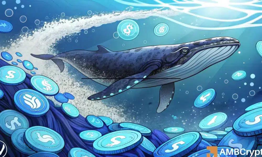 Worldcoin——885万美元的鲸鱼买入为WLD 1100美元的目标提供了看涨基础