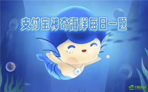 蚂蚁森林神奇海洋2025年8月18日答案