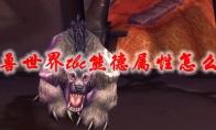 《魔兽世界》tbc熊德属性怎么堆