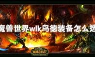 魔兽世界wlk鸟德装备怎么选