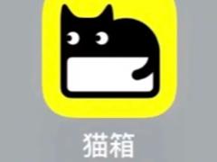 猫箱怎么开启羞涩模式 猫箱羞涩模式最简单三个步骤