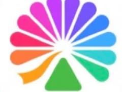 大麦app和小程序哪个抢票快更容易抢票 大麦app和小程序同步吗互通吗