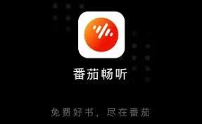番茄听书怎么免广告