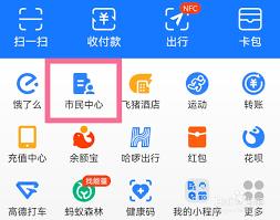 如何进行支付宝医保缴费