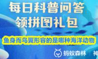 鱼身而鸟翼形容的是哪种海洋动物