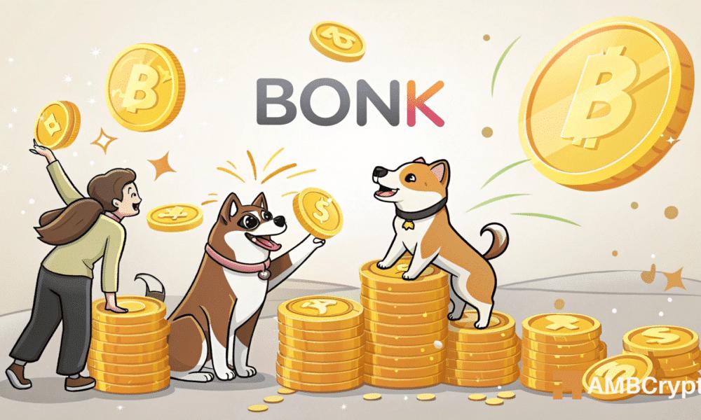 BONK 的链上强度与下跌的价格——发生了什么？