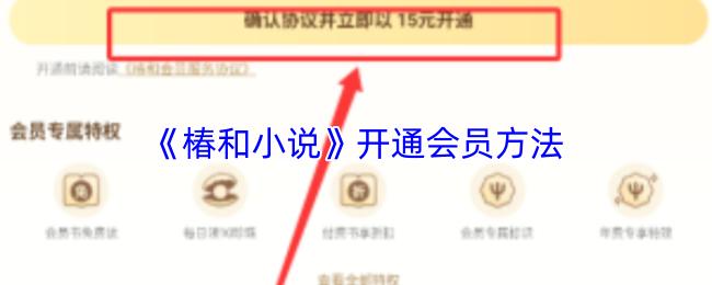 椿和小说 开通会员方法
