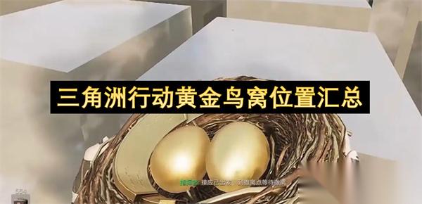 三角洲行动黄金鸟窝在哪里汇总