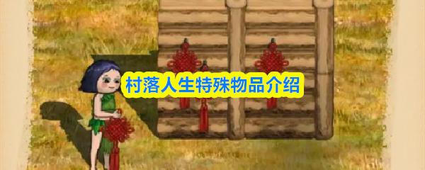 村落人生特殊物品介绍