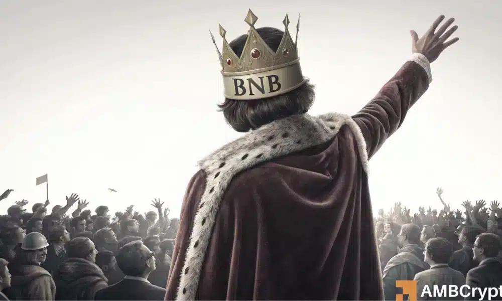 XRP/BNB 比率暴跌 60% – 资本明显青睐……