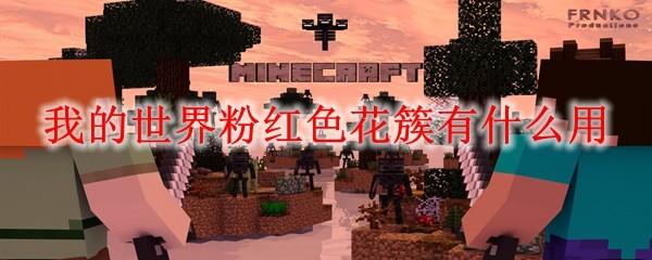我的世界粉红色花簇有什么用