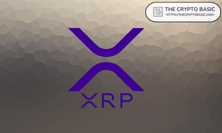尽管价格下跌，XRP 网络仍保持增长