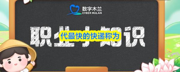 代最快的快递称为