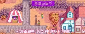 饥荒联机版种地方法