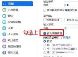 Zoom如何开启自动调整音量