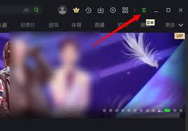 如何重置爱奇艺电脑版设置项
