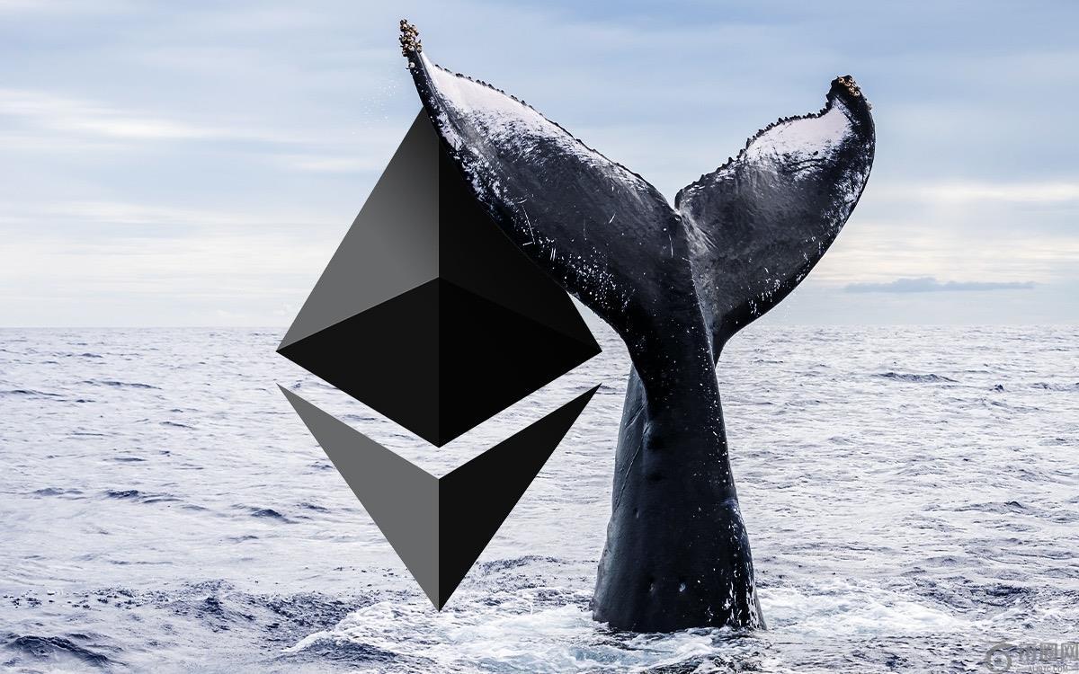 随着 ETH 鲸鱼重回增持模式，现在最适合购买加密货币