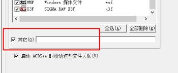 如何设置ACDSee图片关联格式