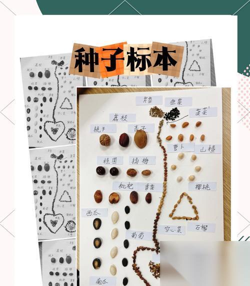 怎么在以手工星球中获取种子 探索游戏世界