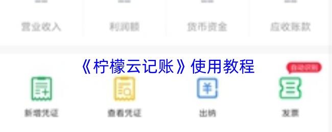 柠檬云记账 使用教程