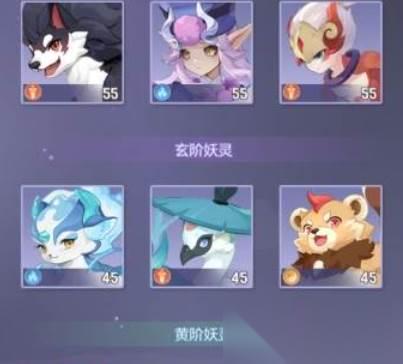 长安幻想69普陀宠物