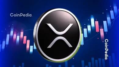 随着新钱包数量激增，XRP 网络活动也随之飙升——这是否预示着价格将出现上涨反转