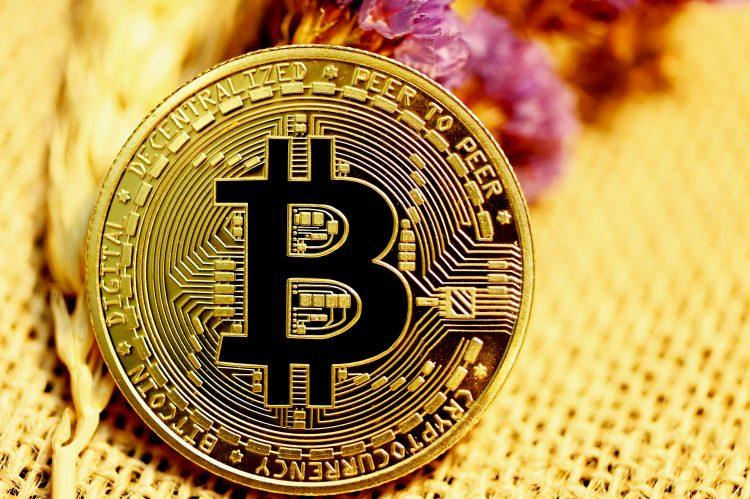 分析师：比特币主导地位表明加密货币牛市仍在持续