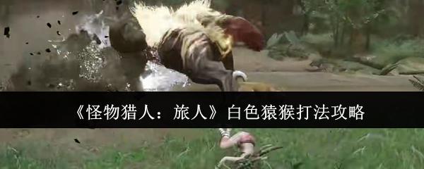 怪物猎人：旅人 白色猿猴打法攻略