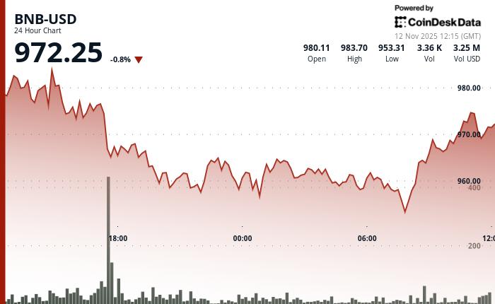 受市场波动影响，BNB 代币价格在短暂下跌后回升至 970 美元以上。