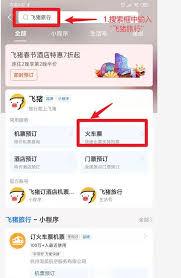 买了火车票如何查票