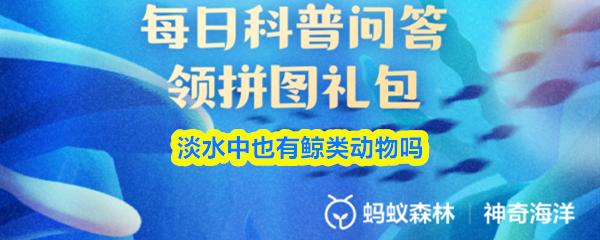 淡水中也有鲸类动物吗