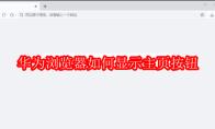 华为浏览器如何显示主页按钮