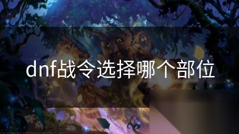 dnf战令选择哪个部位