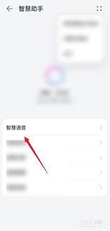 华为智慧语音唤醒词如何设置