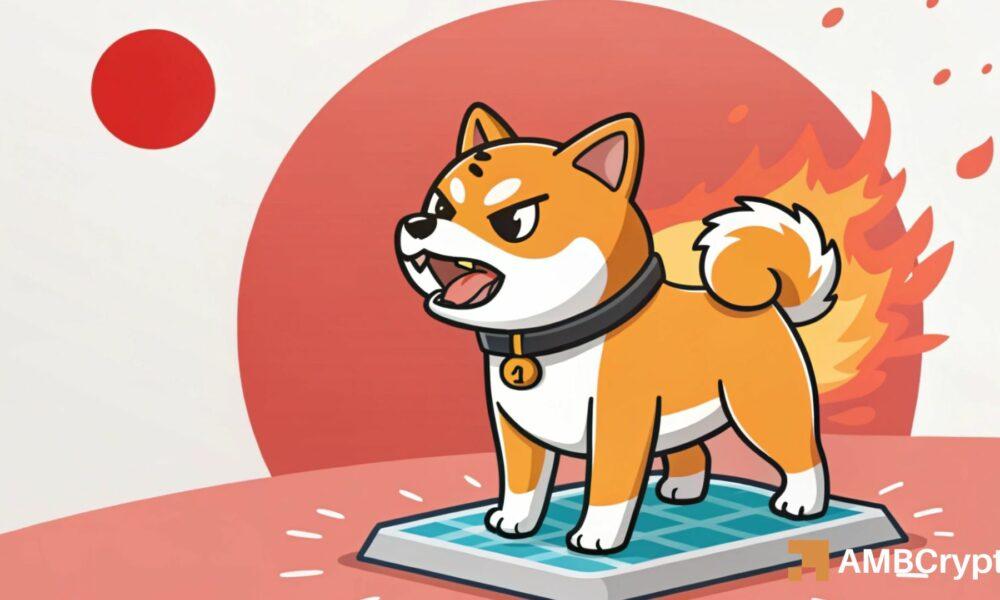 柴犬：烧伤潮和日本的批准能否推动柴犬全面复苏
