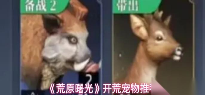 荒原曙光开荒宠物怎么选 开荒宠物推荐