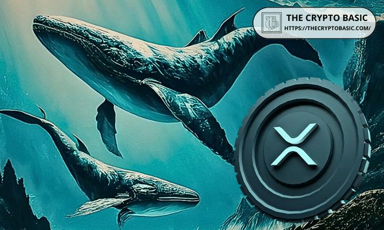 鲸鱼投资者在48小时内抛售了1.9亿枚XRP，价格出现波动。