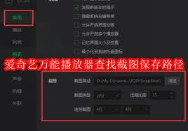 爱奇艺万能播放器如何设置记忆播放