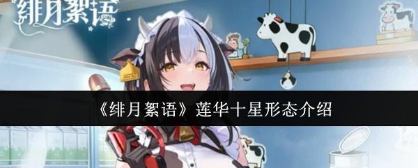 绯月絮语 莲华十星形态介绍