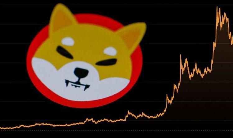 柴犬股价暴跌接近转折点，图表悄然发生变化
