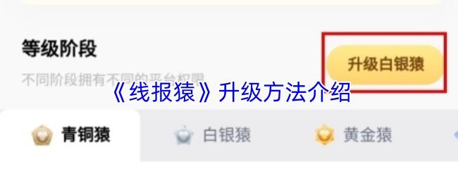 线报猿 升级方法介绍