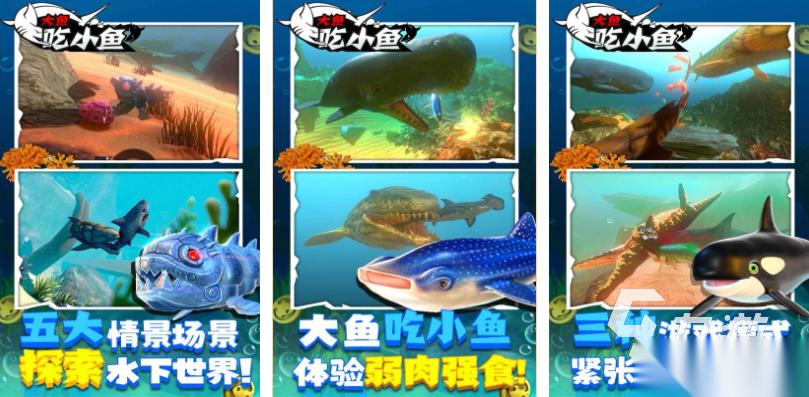 流行的大鱼游戏排行榜 免费的大鱼游戏有哪些2025