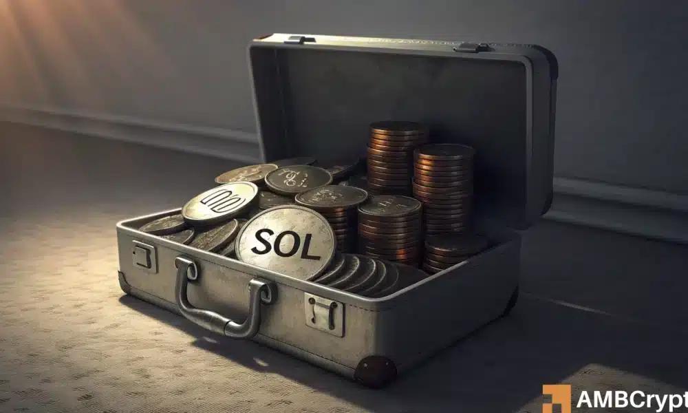 13亿美元资金回流Solana：SOL股价是否即将逆转