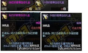 DNF玲珑徽章自选礼盒能开出哪些奖励