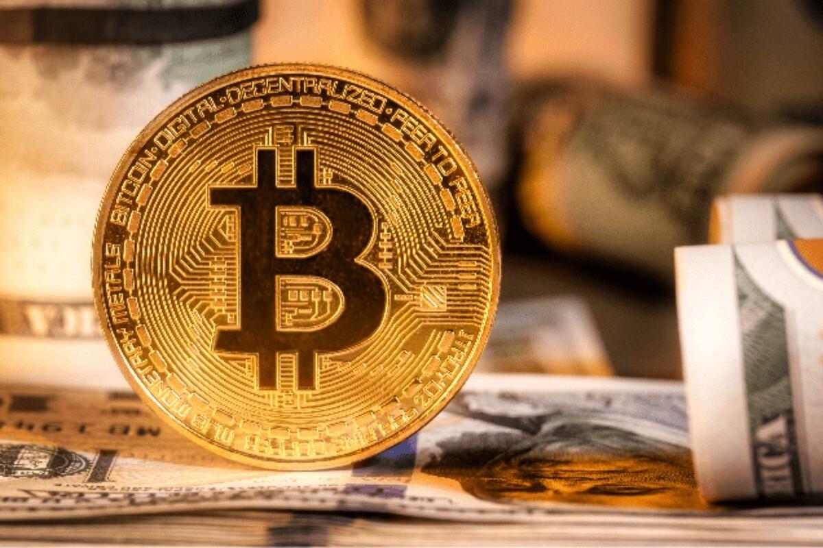 SHIB Burn股价暴跌88.07%，关键的12月更新即将发布：详情