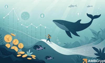 以太坊价格飙升至 3300 美元以上，巨鲸增持近 100 万枚 ETH，散户纷纷离场。