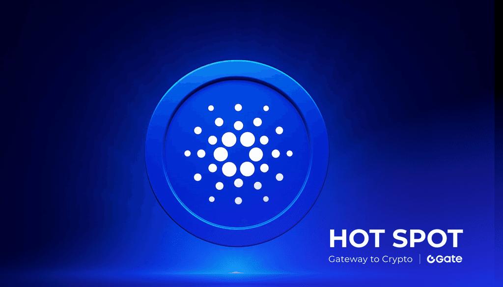 Cardano 价格单日重挫 10% ：涨势消退后的关键位置与交易策略