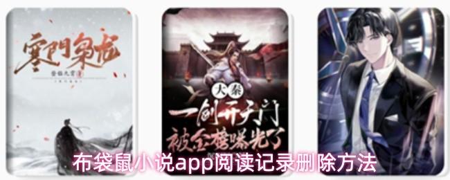 布袋鼠小说app阅读记录删除方法