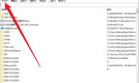 Everything怎么导出文件列表