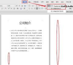 WPS文档怎么删除多余空白页
